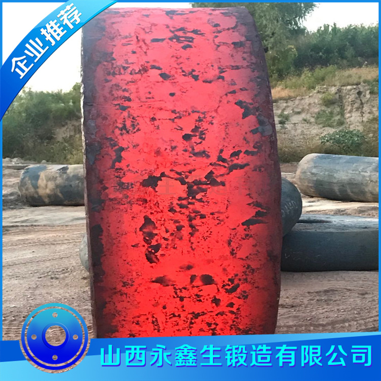 鍛造回轉窯擋磚圈